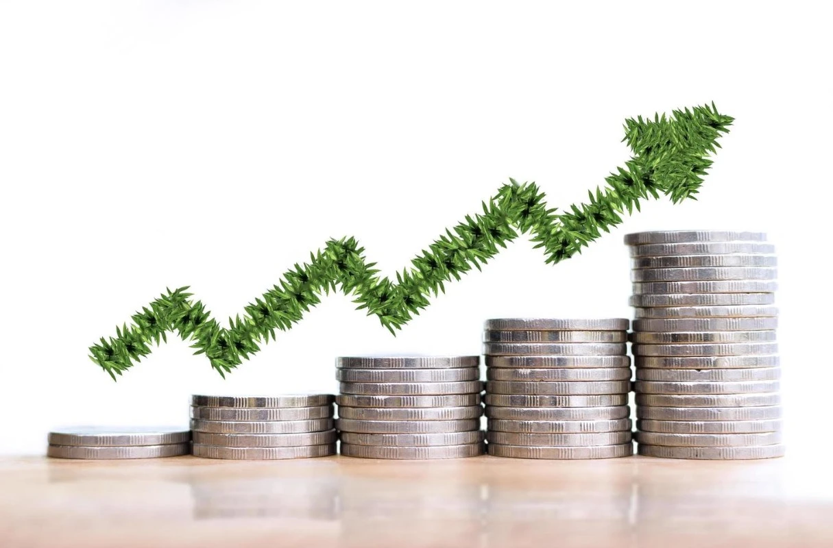 Mengenal Profit Margin